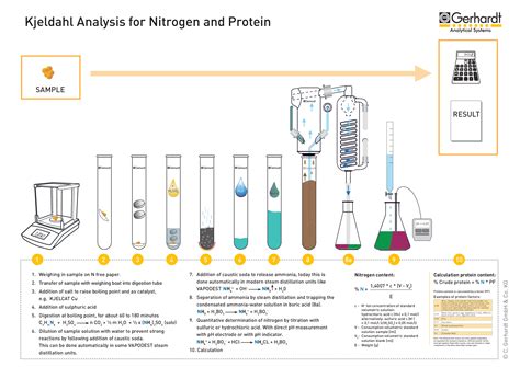 protein estimation by kjeldahl method